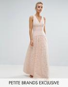 Little Mistress Petite Allover Lace Full Prom Maxi Dress - Pink