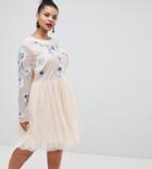 Asos Design Curve Pastel Embroidered Tulle Mini Dress - Pink