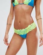 Ann Summers Pina Lace Bikini Bottom - Multi