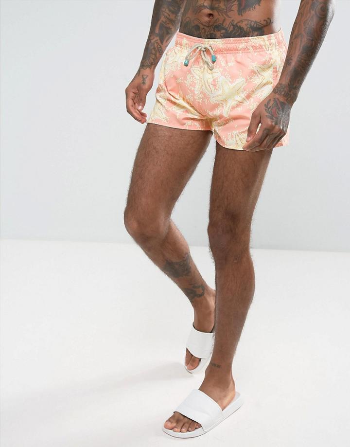 Oiler & Boiler Chevy Swim Short With Star Fish Print In Peach - Pink