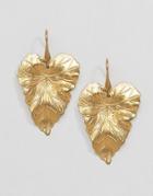 Rock N Rose Olive Brass Leaf Earrings - Gold