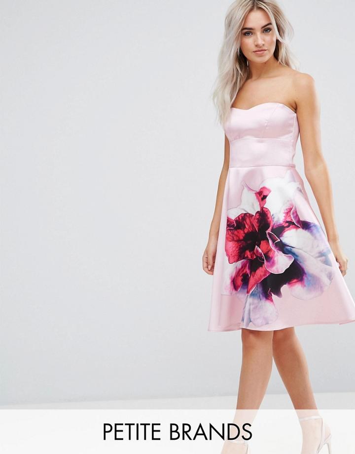 City Goddess Petite Bandeau Skater Dress With Placement Floral Print - Pink