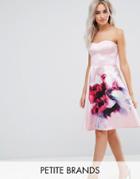 City Goddess Petite Bandeau Skater Dress With Placement Floral Print - Pink