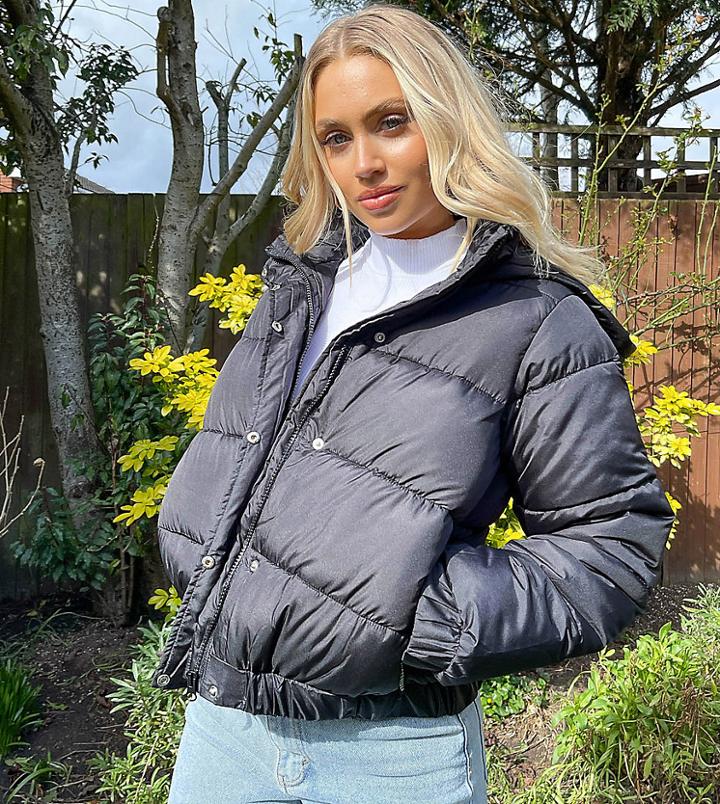 Missguided Padded Jacket With Hood In Black