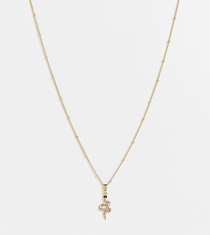 Asos Design 14k Gold Plated Necklace With Snake Charm