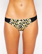 Evil Twin Amazon Riot Cupped Bikini Bottom - Wild Animal