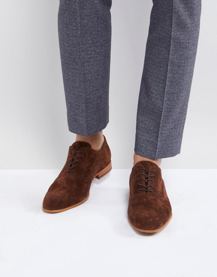 Zign Suede Lace Up Shoes In Brown - Brown