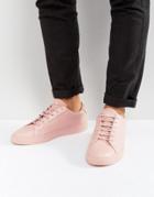 Kg Kurt Geiger Donnie Sneakers In Pink - Pink
