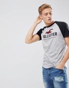 Hollister Raglan Baseball Logo Print T-shirt In Gray - Gray