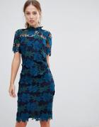 Coast Three Tone Lace Dress - Multi