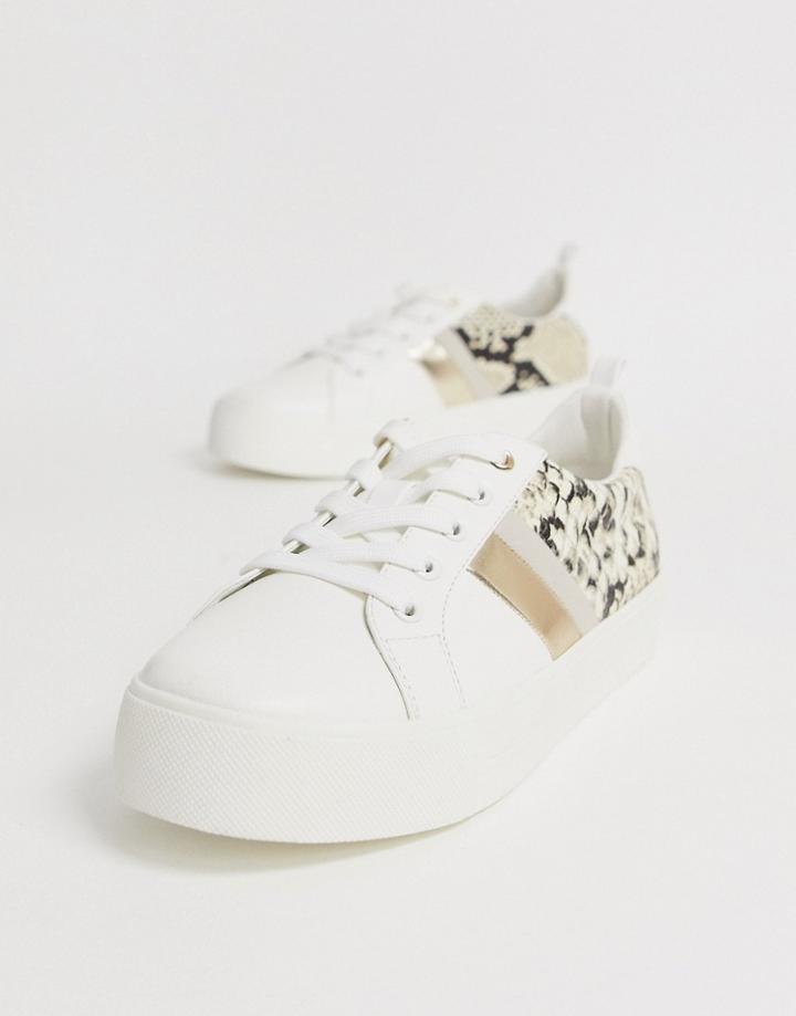Call It Spring By Aldo Augustiski Sneakers In Snake