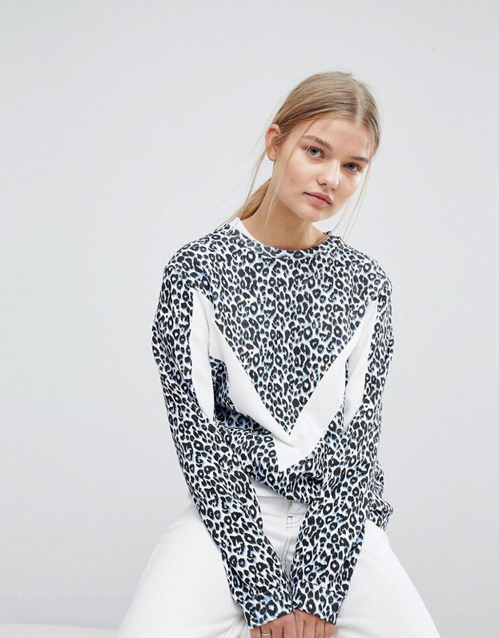 Max & Co Sweat Top In Leopard Print - Blue