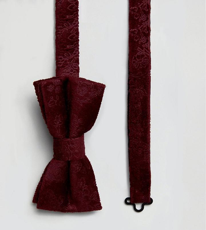 Noose & Monkey Paisley Bow Tie In Velvet - Red