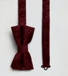 Noose & Monkey Paisley Bow Tie In Velvet - Red