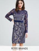 Little Mistress Petite Long Sleeve Contrast Lace Shift Dress - Navy