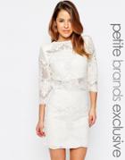 John Zack Petite All Over Baroque Sequin Mesh Mini Dress With Plunge Back - White