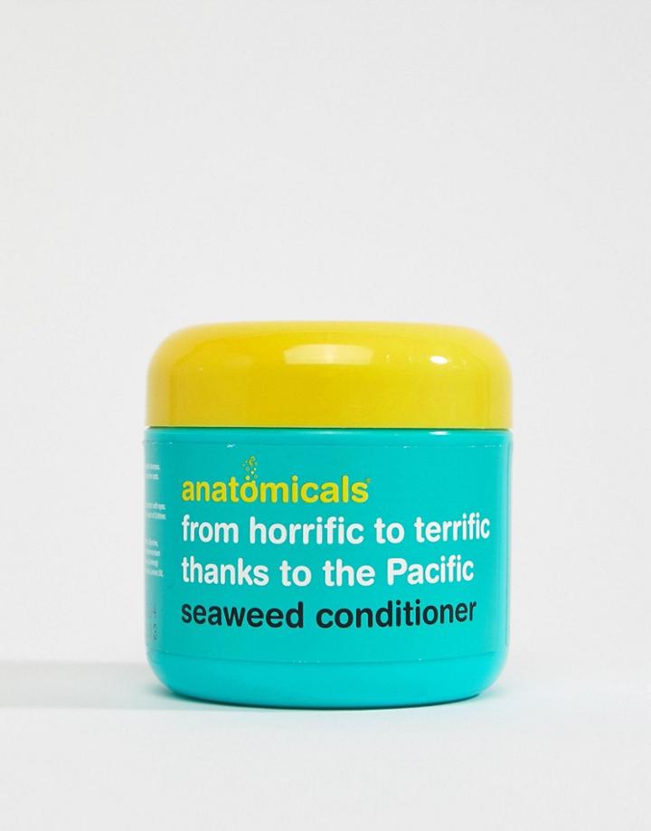 Anatomicals From Horrifc To Terrific Thanks To The Pacific Seaweed Conditioner - Clear