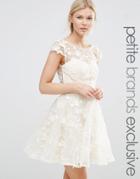 Chi Chi London Petite All Over 3d Floral Applique Mini Skater Dress - Cream