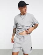 Reebok Classics Brand Proud Shorts In Gray