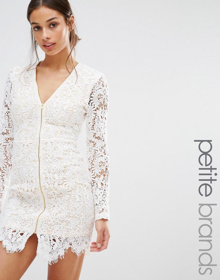 Missguided Petite Zip Front Plunge Lace Mini Dress - White