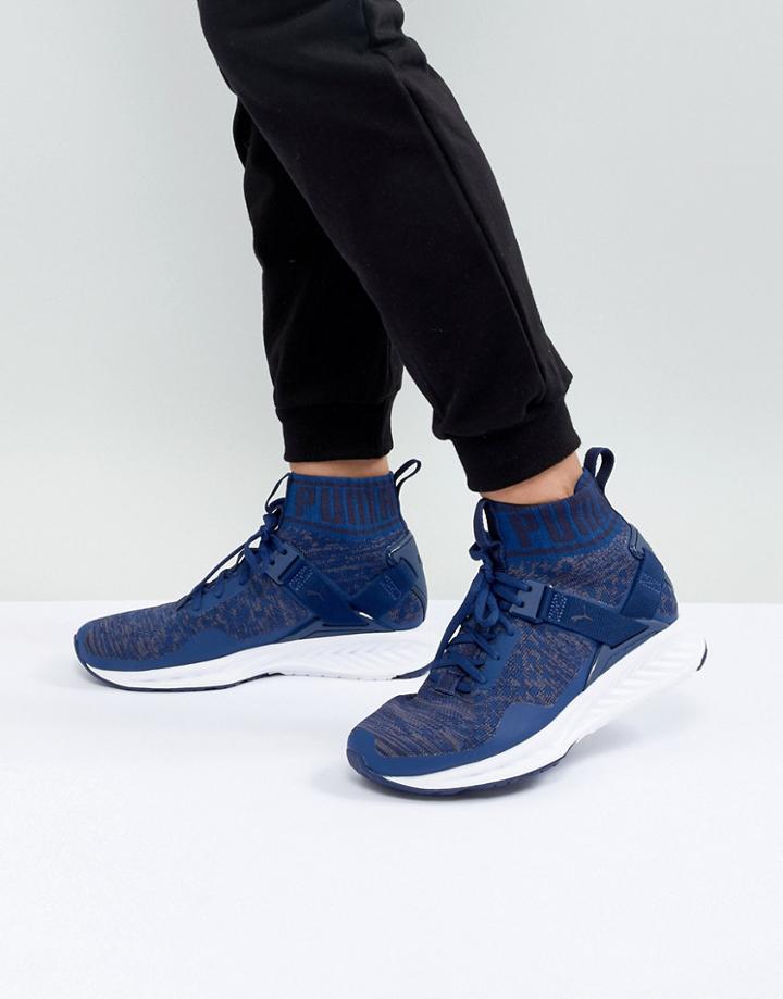 Puma Ignite Evoknit Sneaker In Blue - Navy