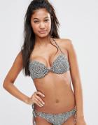 Hot Water Leopard Print Bikini Top - Multi