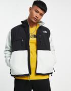 The North Face Retro 95 Denali Fleece Jacket In Mint-green