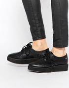 Blink Flatform Lace Up Shoes - Black Starry Snake
