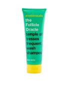Anatomicals The Follicle Oracle Shampoo 250ml - Follicle