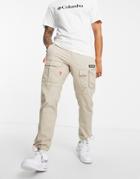Columbia Field Roc Backbowl Cargo Pants In Beige-white