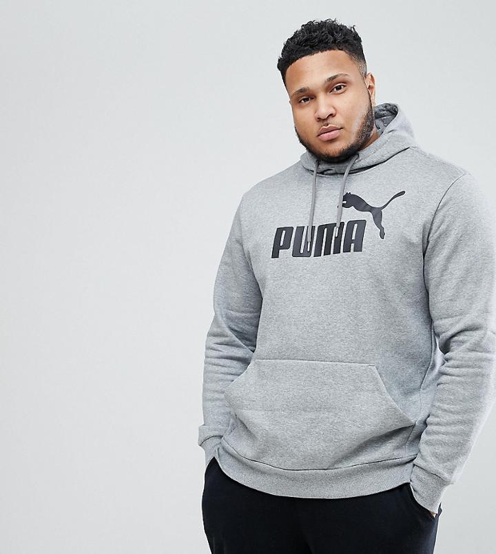 Puma Plus Ess No.1 Hoody Fl In Gray 83825703 - Gray