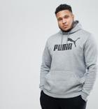 Puma Plus Ess No.1 Hoody Fl In Gray 83825703 - Gray