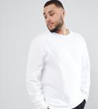 Asos Design Plus Sweatshirt In White Pique - White