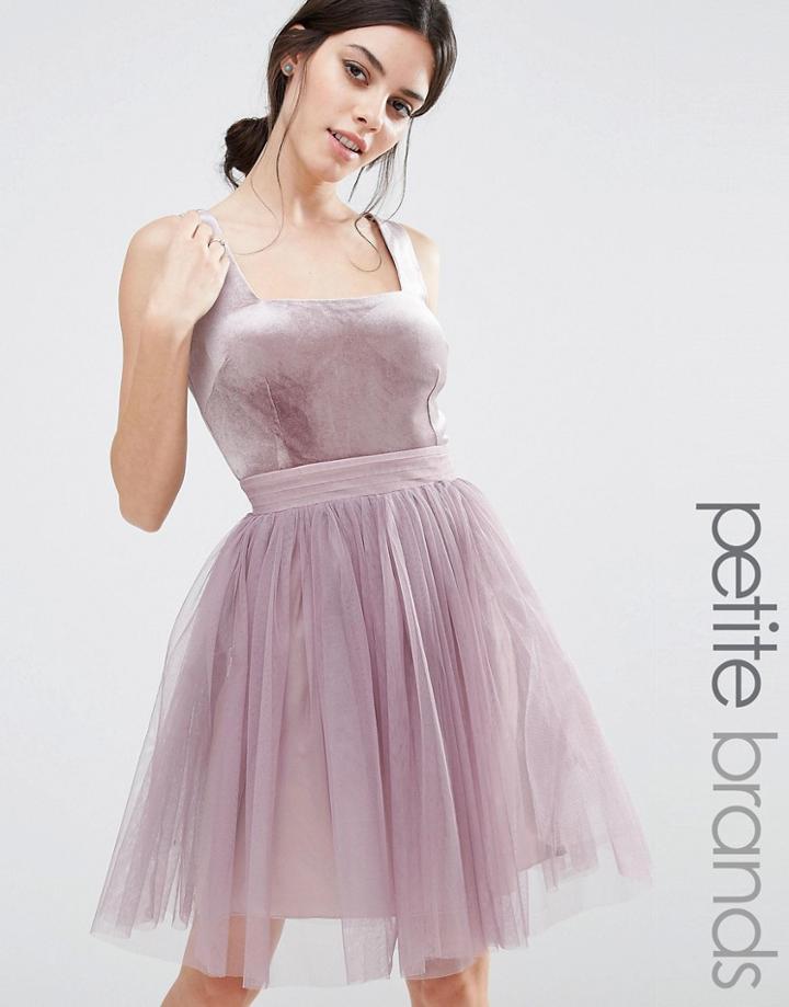 Little Mistress Petite Velvet Top Mini Skater Dress With Tulle Skirt -