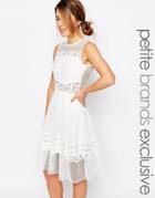 John Zack Petite Mesh And Cutwork Lace Sleeveless Mini Dress - White