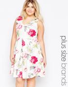 Praslin Plus Size Skater Dress In Floral Print - White Floral
