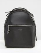Fiorelli Anouk Mini Black Backpack - Black