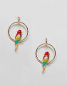 Asos Parrot On A Perch Earrings - Gold