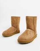 Ugg Classic Short Boots In Tan-brown