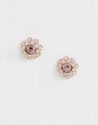 Ted Baker Crystal Daisy Lace Stud Earrings - Gold