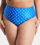 Peek & Beau Curve Exclusive High Waist Bikini Bottoms In Blue Spot-blues