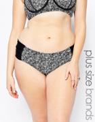 Raisins Plus Fiji Bikini Bottom - Black Nights