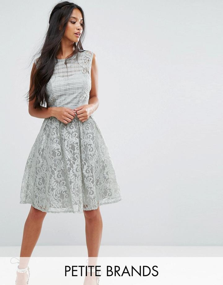 Little Mistress Petite Lace Paneled Skater Dress - Multi