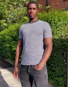 Selected Homme 'the Perfect Tee' Pima Cotton Striped T-shirt In White With Navy