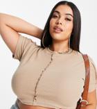 Public Desire Curve Seam Detail Ribbed Cropped T-shirt In Sand-neutral