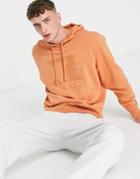 Russell Athletic Faded Embroidered Hoodie-brown