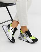 Steve Madden Cliff Black Sneakers With Neon Trim - Green