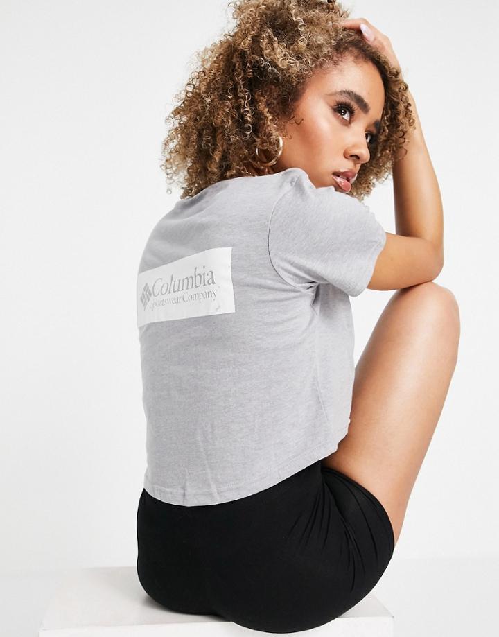 Columbia North Cascades Backprint Cropped T-shirt In Light Gray Exclusive At Asos-grey