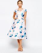 True Decadence Fit And Flare Full Skater Dress With Floral Print - Pink Priny