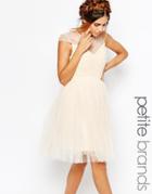 Little Mistress Petite Tulle Prom Dress With Embellished Sheer Detail - Cream